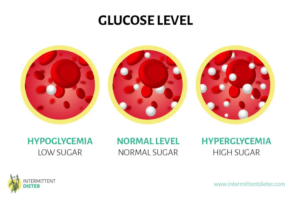 can-you-get-hypoglycemia-when-fasting-intermittent-dieter