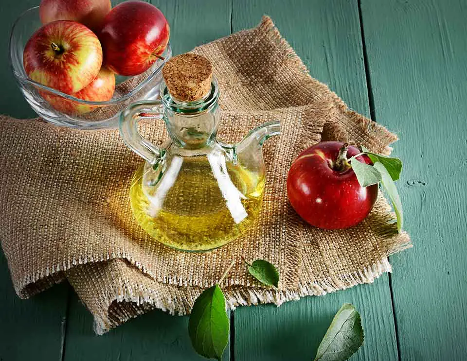 Apple Cider Vinegar (ACV)