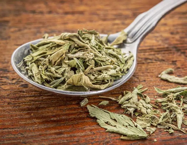 Artificial Sweeteners and Fasting A Complete Guide Intermittent Dieter