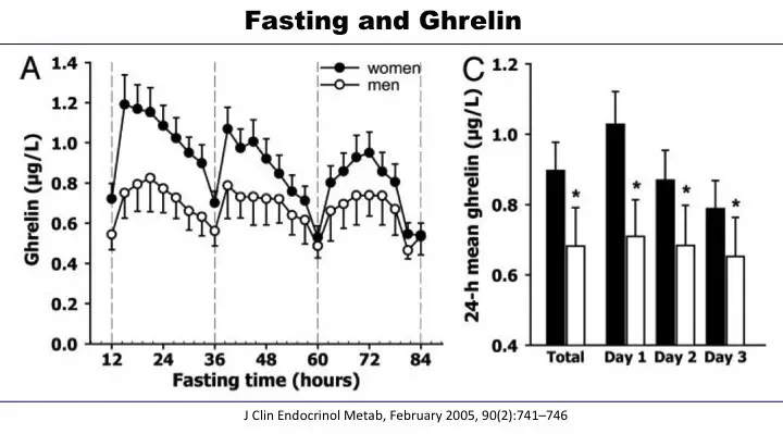 Fasting and Ghrelin levels after 3.5 days