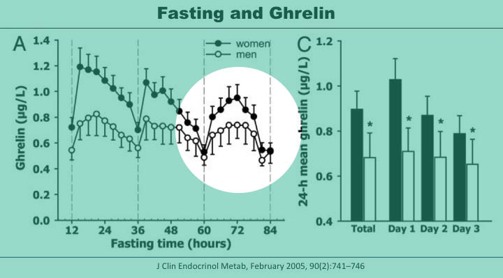 Fasting and Ghrelin levels difference between men and women after 3.5 days