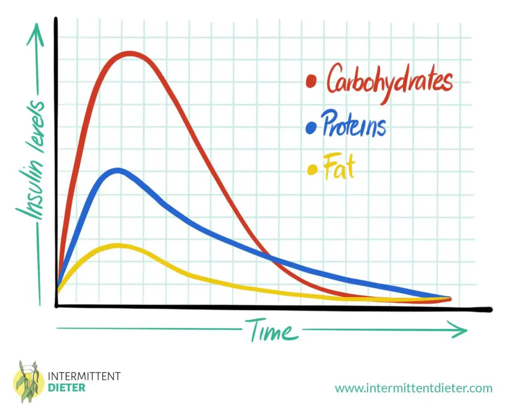 Insulin levels graph - Carbohydrates, proteins and fat