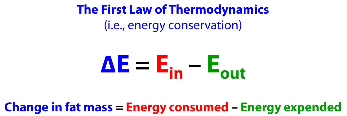 The First Law Of Thermodynamics